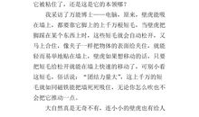 动物的启示300字