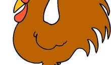 关于动物的启示