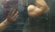 从动物身上得到启示