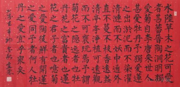 阅读后1000字
