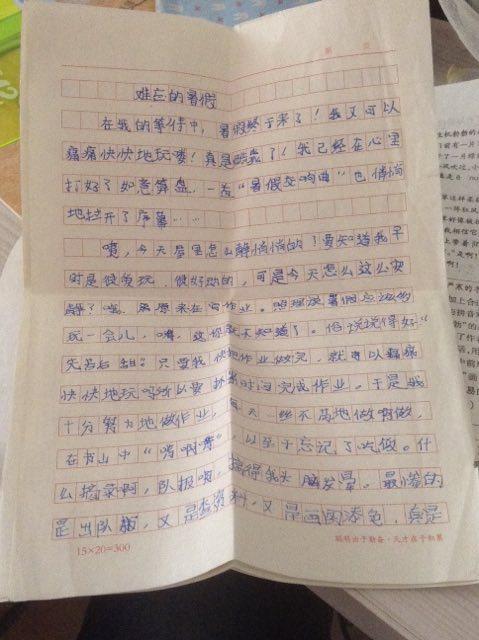 难忘的假期作文