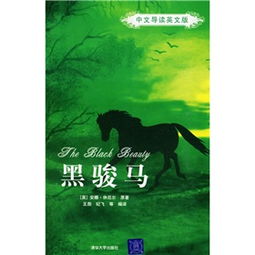 黑骏马的想法