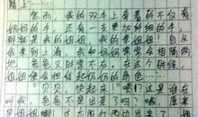 我的弟弟作文450字