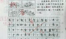 妈妈笑了小学作文