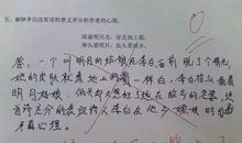 我的严厉老师作文