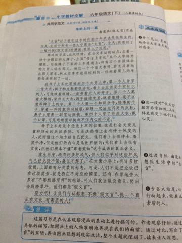假冒文盲700字