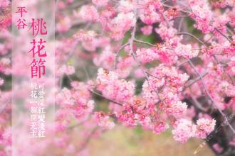 桃花组成