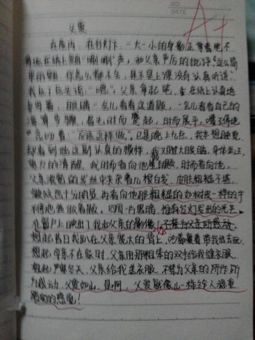 我的老师初中作文