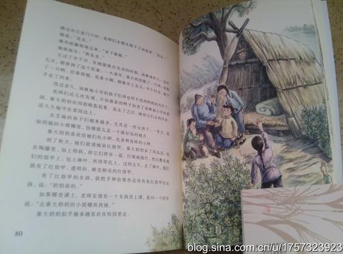 看完草屋的艾条