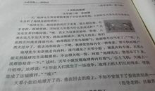 桃花的作文200字