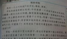 我的书包作文500字