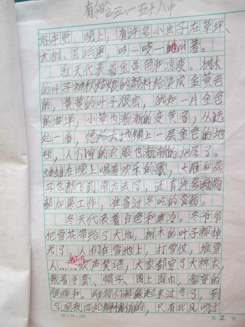 观察日记500字
