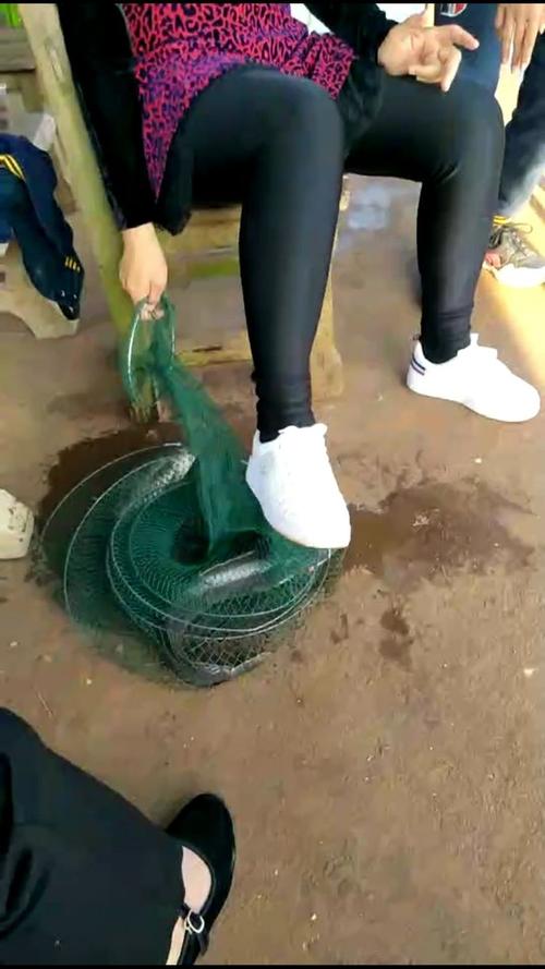 如果你想跳线