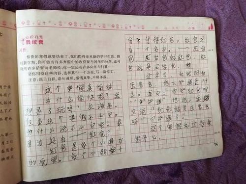 姐姐结婚了
