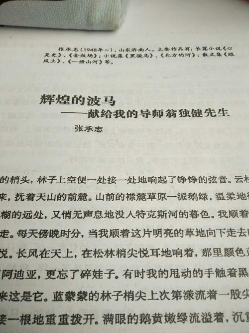 精彩阅读