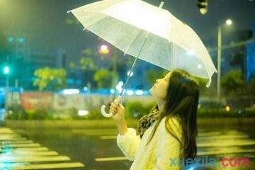 在雨中行走的组成
