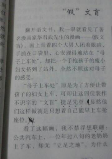 假文盲600字