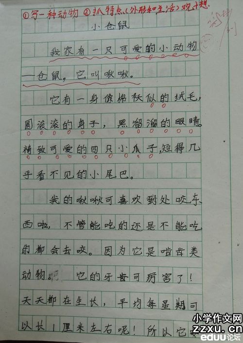 老师笑着写了400字
