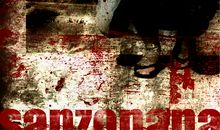 从一张照片上想到的