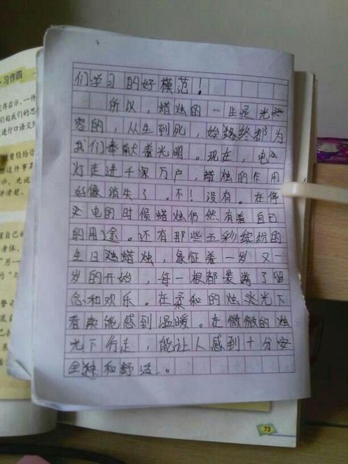 奶奶的手组成