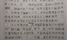 我的小制作作文400字