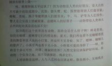 高中读后感800字