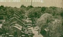 一张照片的回忆