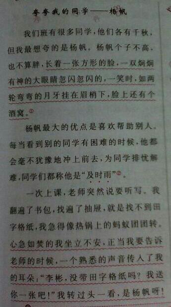 我的伴侣组成