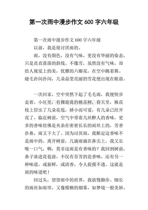 雨中600字