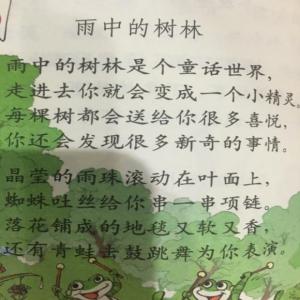 雨中动人的故事构图