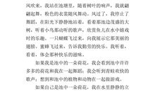 假如我是一朵荷花作文