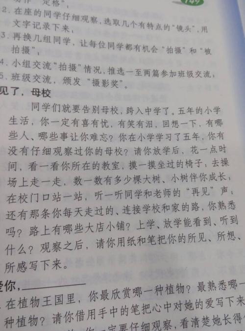 雨中校园作文500个字