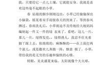 假如我是一棵小草300字作文