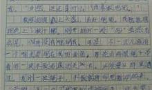 爸爸我想对你说作文500字