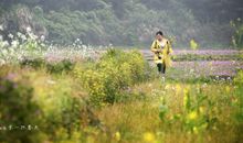 描写春天田野的作文