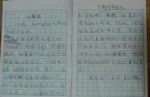 小实验组成