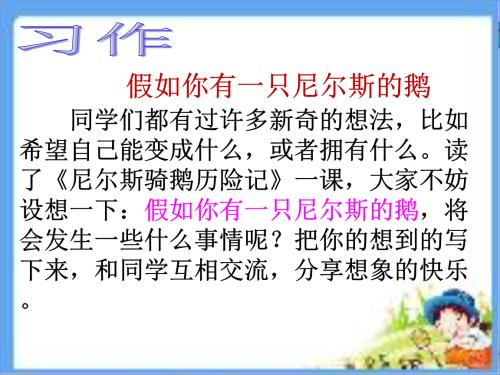 假设我有一个由Niels的鹅组成的450个字符