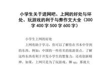 电脑的利与弊作文