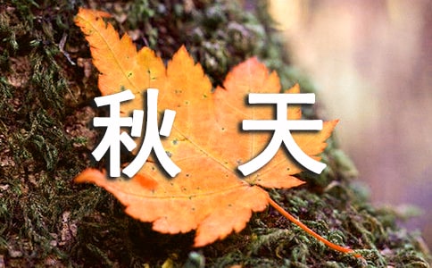 我爱秋天作文800字