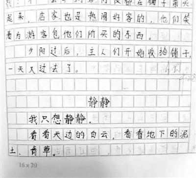 500字电脑的优缺点