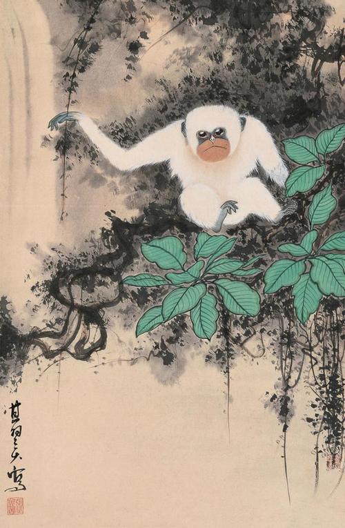 看完天宗的教