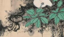 天纵之教读后感