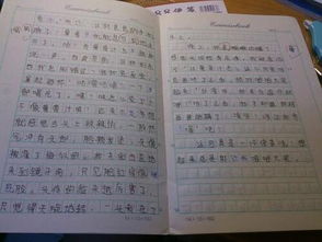 童年的照片组成