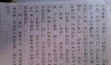 假如生活欺骗了你读后感