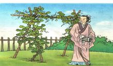 我要的是葫芦读后感