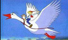 假如我有一只尼尔斯的鹅800字作文