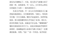 夏天的作文800字