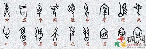 Oracle的发现