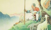 鸡毛信读后感600字