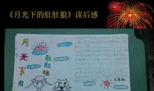 文学赏析读后感